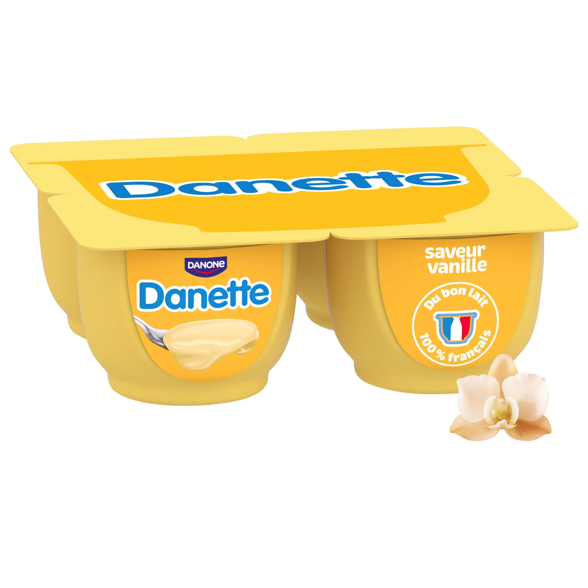 DANETTE Crème dessert vanille