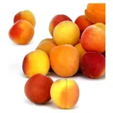 Abricots à confiture