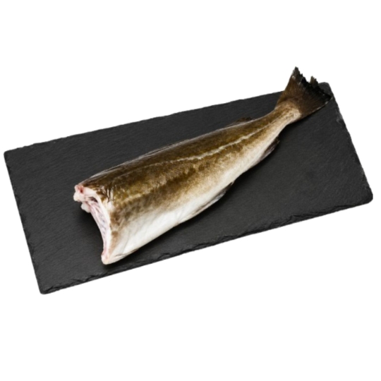 Cabillaud Skrei