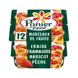 PANIER DE YOPLAIT Yaourt aux fruits abricot pêche fraise cerise avec morceaux