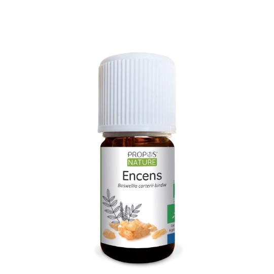 Encens Bio (ab) - Huile Essentielle 5 Ml PROPOS'NATURE