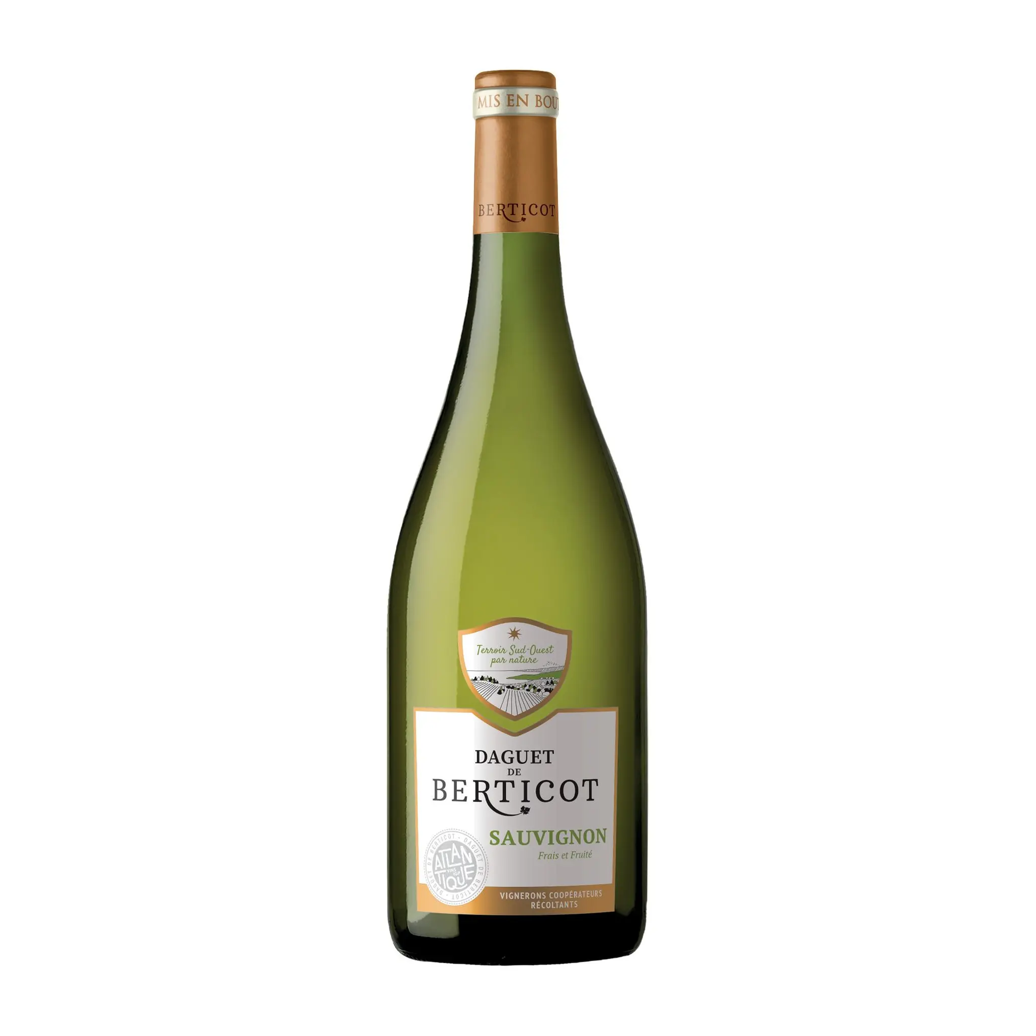 IGP Sauvignon Daguet de Berticot