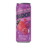 Bulles de fruits saveur fruits rouges, Badoit (33 cl)