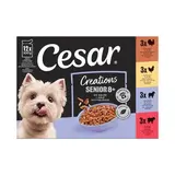 Cesar Sachets en gelée multivariétés pour chien senior, 12x100g