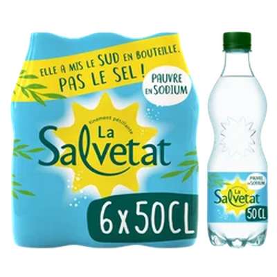 Eau minérale gazeuse naturelle, Salvetat (6 x 50 cl)