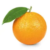 Orange de table BIO (calibre moyen), Espagne
