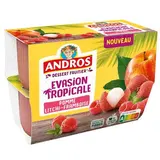 Andros Evasion Tropicale Compote pomme litchi framboise, 4x97g
