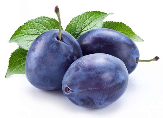 Barquette de prunes violettes "d'ente" BIO du Sud-Ouest - direct producteur (500 g), France