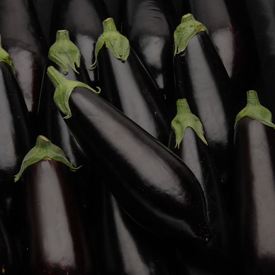Aubergine