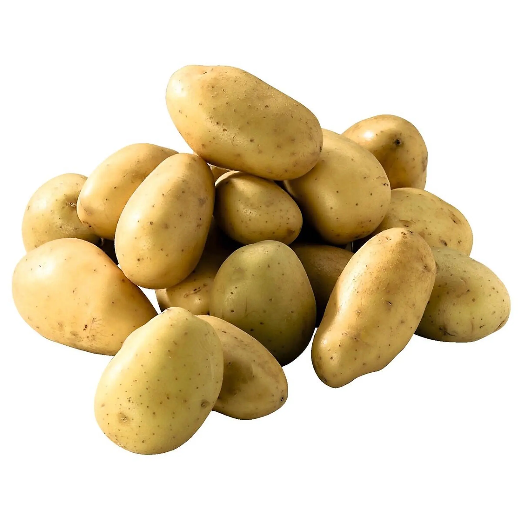 Pommes de terre Prix Bas