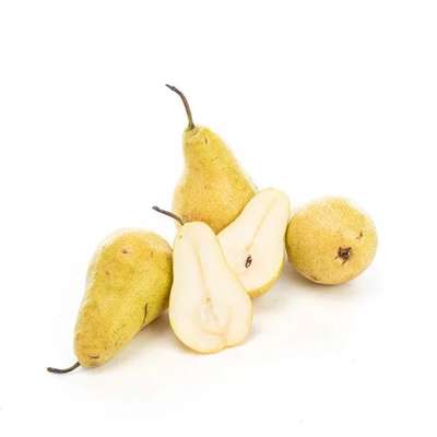 Lot de 4 poires Harrow sweet BIO (petit calibre), France