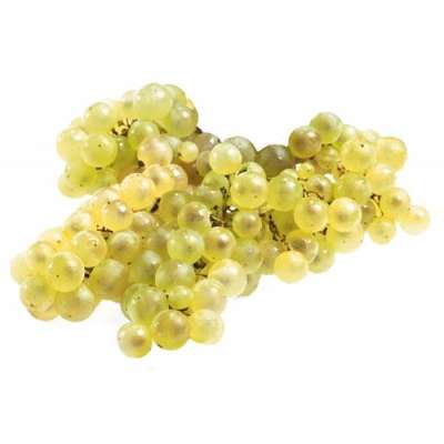 Raisin blanc Chasselas de Moissac AOP (barquette de 500 g), France
