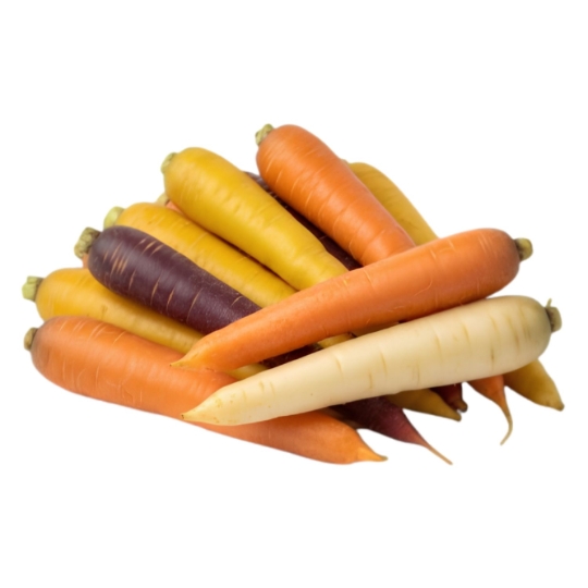 Carottes Couleur