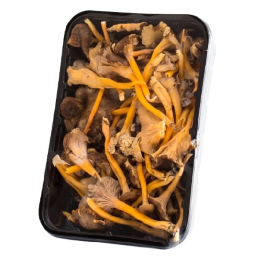 Champignons Chanterelles Jaunes