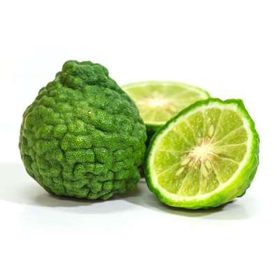 Citron combava BIO de Corse (barquette de 2 citrons), France