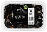 Moules de Bouchot