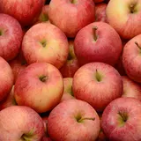 Pomme Gala cal 136/165 gr, cat 1, St julien de concelles, France