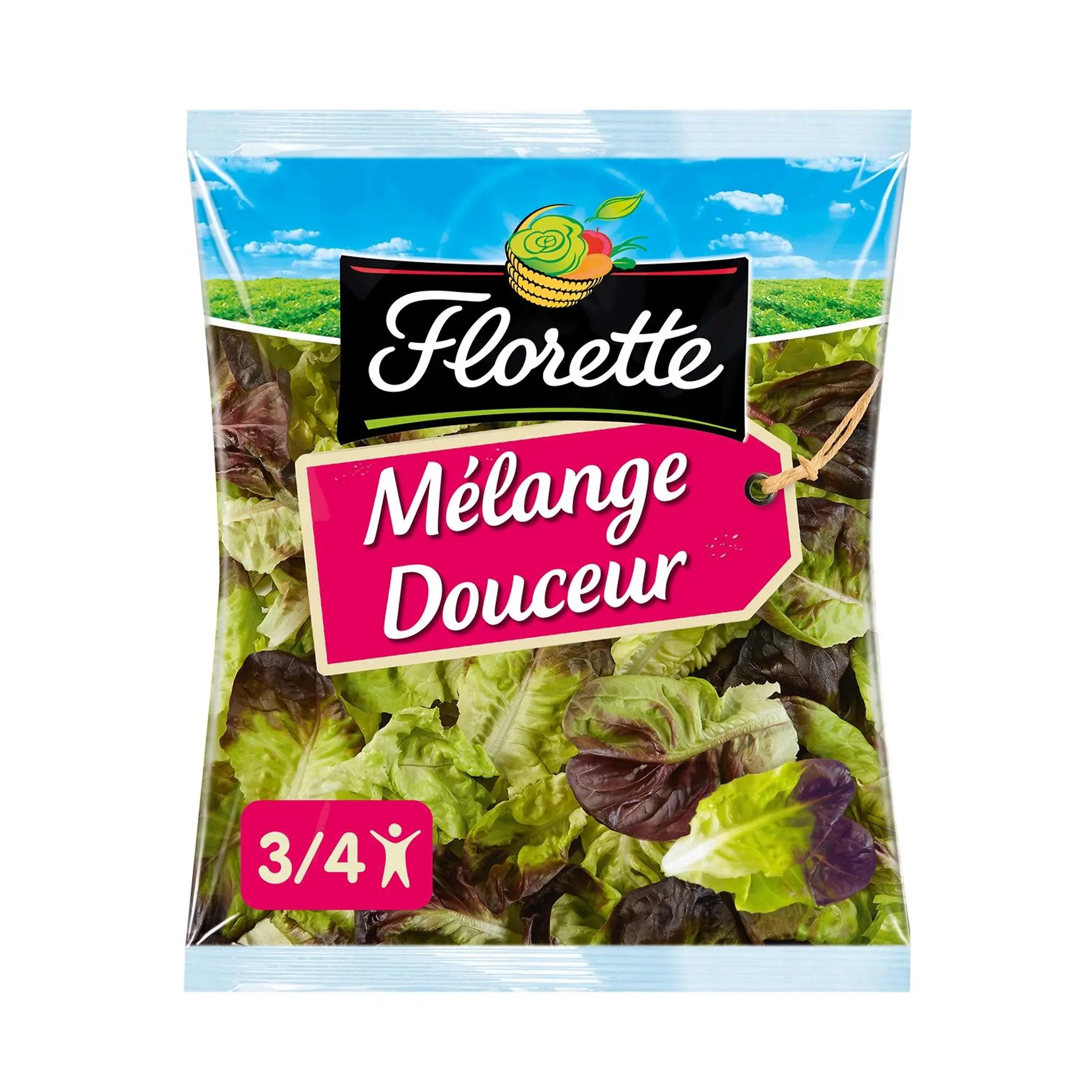 FLORETTE Mélange douceur feuille de chêne et laitue rouge