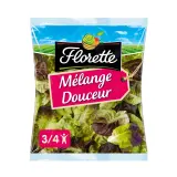 FLORETTE Mélange douceur feuille de chêne et laitue rouge
