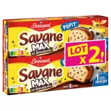 BROSSARD Savane Pépit' gâteaux pépites de chocolat sachets individuels