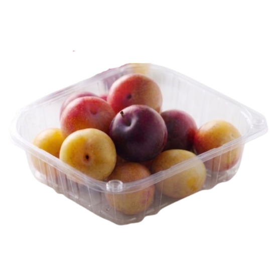 Prunes Duo