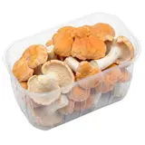 Champignons Pieds-de-mouton