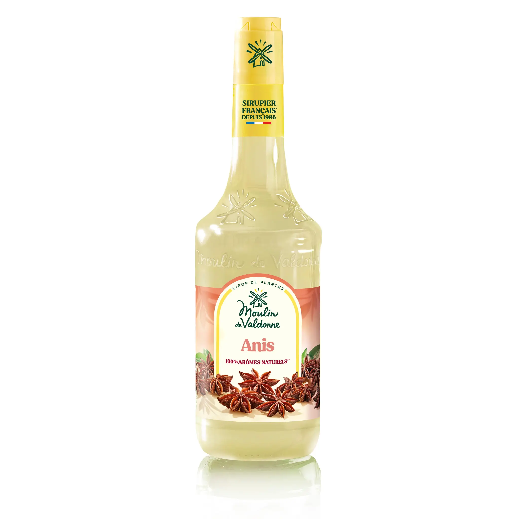 MOULIN DE VALDONNE Sirop d'anis bouteille verre