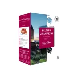 PIERRE CHANAU AOP Saumur Champigny