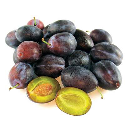 Prune Quetsche d'Alsace IGP (pack de 900gr - pour une tarte) (calibre moyen), France