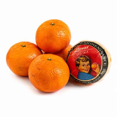 Lot de 4 Mandarines "Llusar" (gros calibre), Afrique du Sud