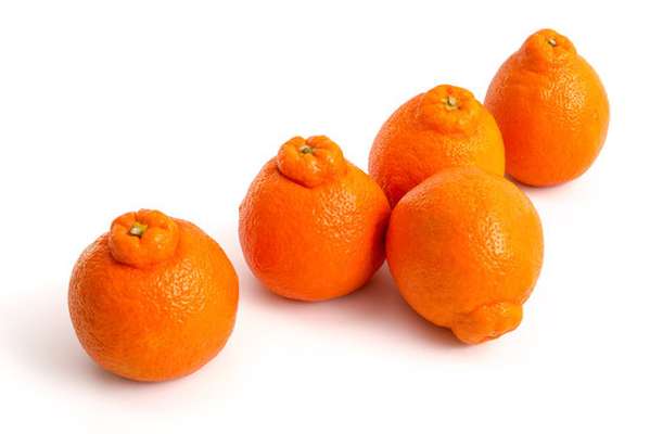 Lot de 3 Mineolas : entre mandarine et pamplemousse (petit calibre), Pérou