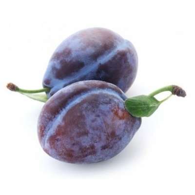Prunes Quetsches d'Alsace IGP (calibre moyen), France