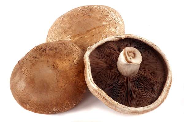 Champignon Portobello "à farcir" (pack de 200 g - 2 à 4 pièces), Pologne