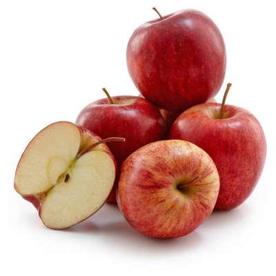 Lot de 4 pommes Gala BIO du Sud-Ouest - Direct producteur (petit calibre), France