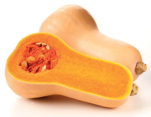 Courge Butternut BIO du Sud-Ouest - Direct producteur (0.85 à 1.3 kg) (calibre moyen), France