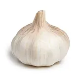 Ail blanc BIO du Sud-Ouest - direct producteur (très petit calibre), France