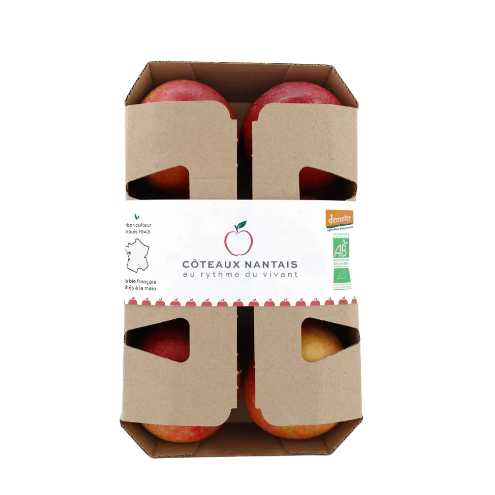 Pommes bicolores bio en barquette origine France x 6