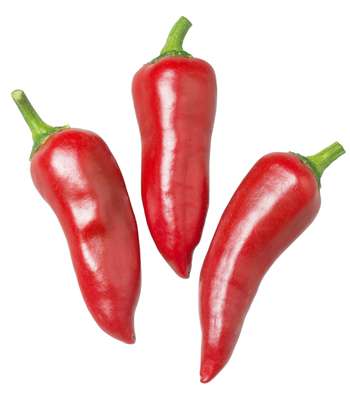 Piment gorria ou "espelette" BIO des Landes - direct producteur, France
