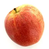 Pomme Royal Gala