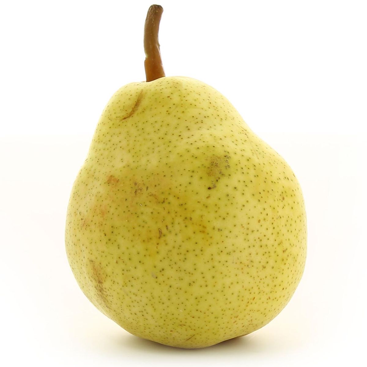 Thomas Le Prince Poire Williams Verte