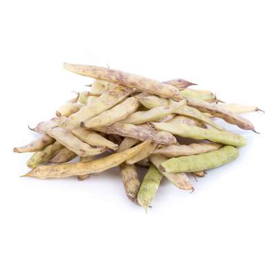 Haricot coco blanc à écosser BIO (pack de 500 g), France