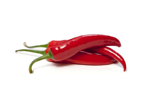 Piment rouge, Maroc