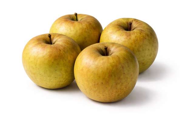 Lot de 4 pommes grise du Canada HVE (calibre moyen), France