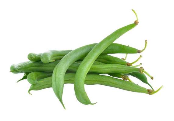 Haricot vert BIO du Finistère nord - direct producteur (barquette de 500 g), France