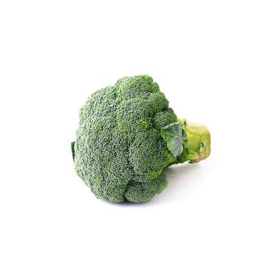 Brocoli BIO du Finistère Nord - Direct producteur (400 à 600 g) (calibre moyen), France