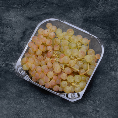 Raisin Chasselas de Moissac AOP