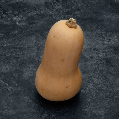 Courge Butternut - La pièce