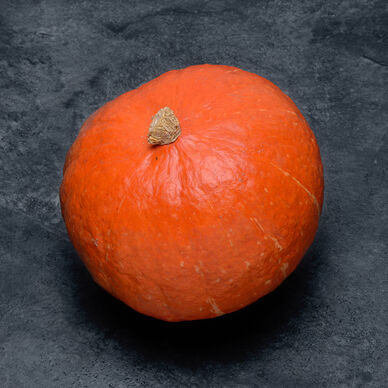Potimarron