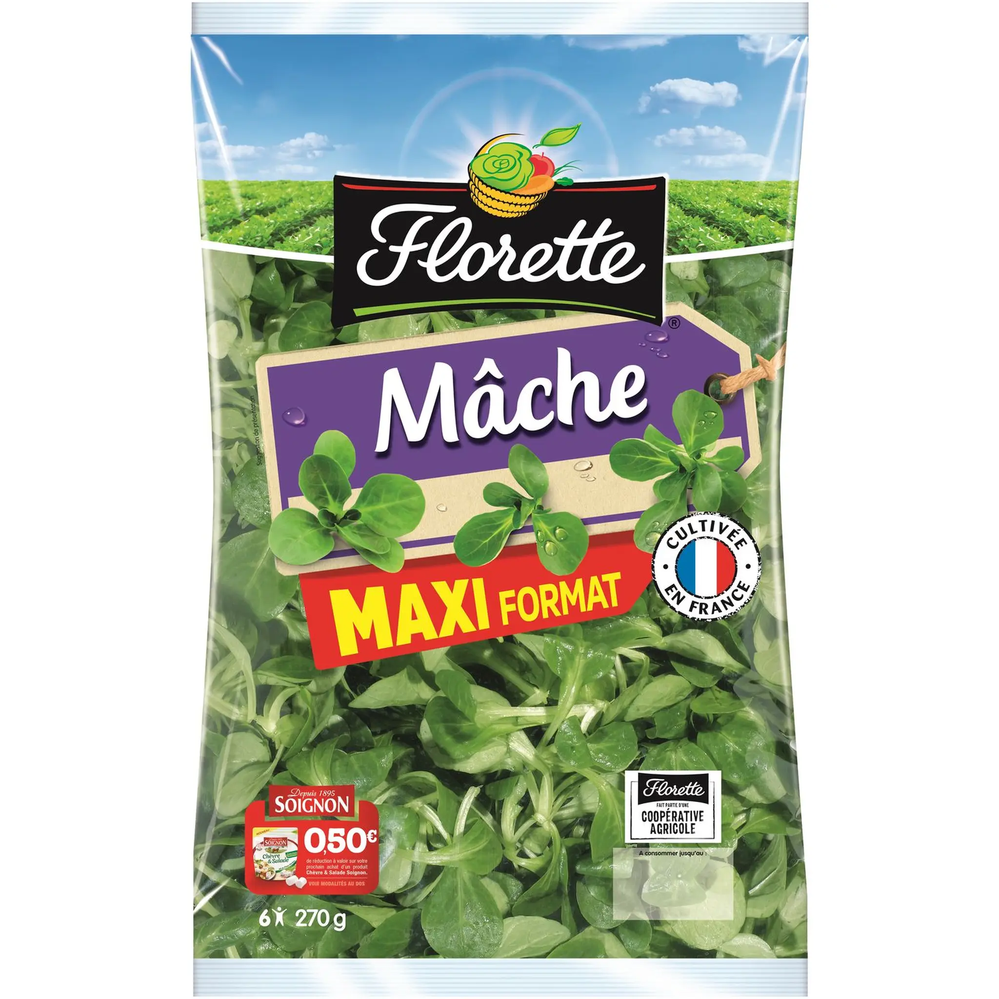 FLORETTE Mâche maxi format