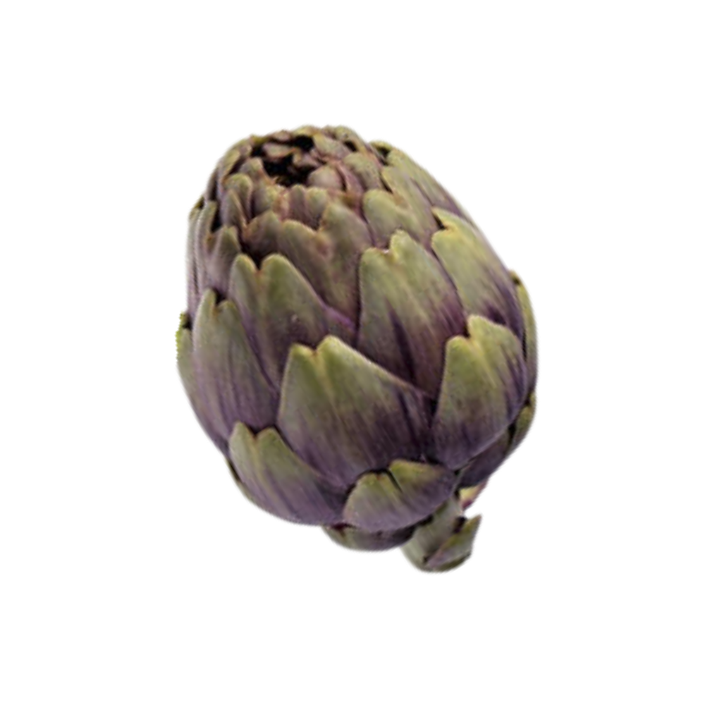 Artichaut petit violet bio origine France